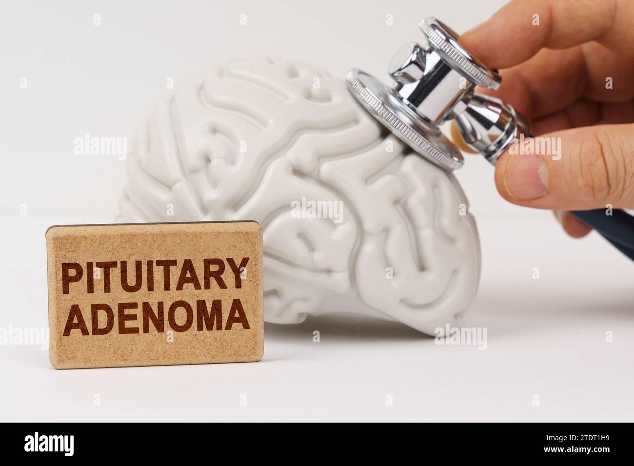 Medical concept. On a white surface, the brain is diagnosed using a stethoscope, next to it is a sign with the inscription - Pituitary adenoma Stock Photo