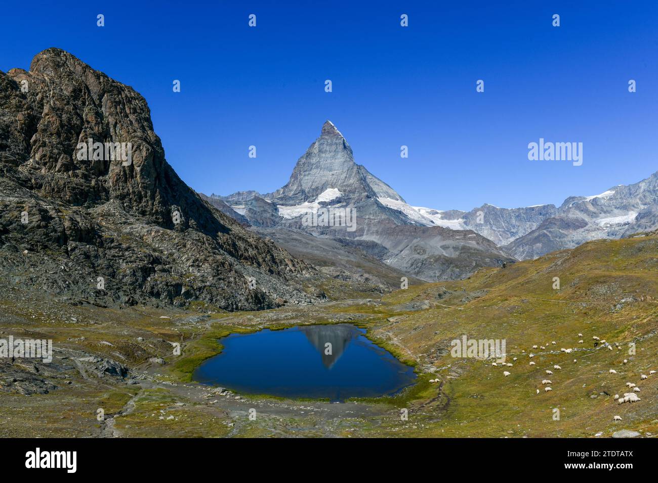 Serene summer landscape, the famous Matterhorn mountain in Zermatt, Switzerland, gently mirrors its grandeur in the calm waters of Riffelsee. Breathta Stock Photo