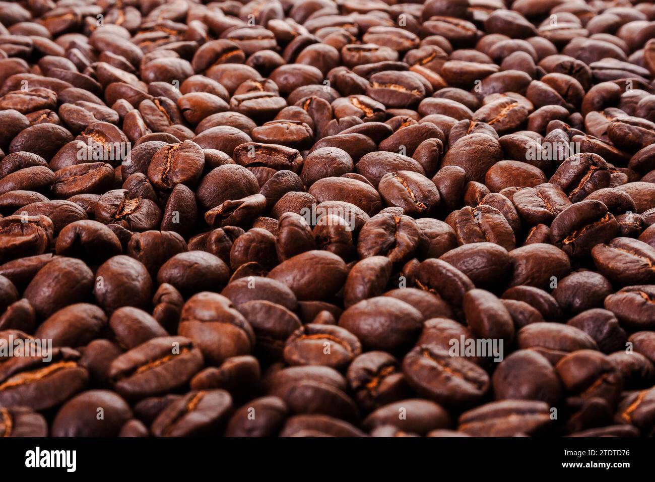 closeup pattern of coffee beans. shallow depth of field. low angle view Stock Photo