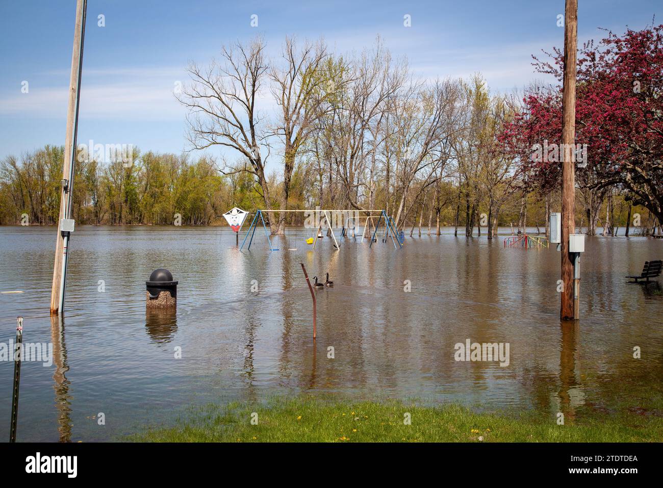 Flooding along the Mississippi River Stock Photo - Alamy