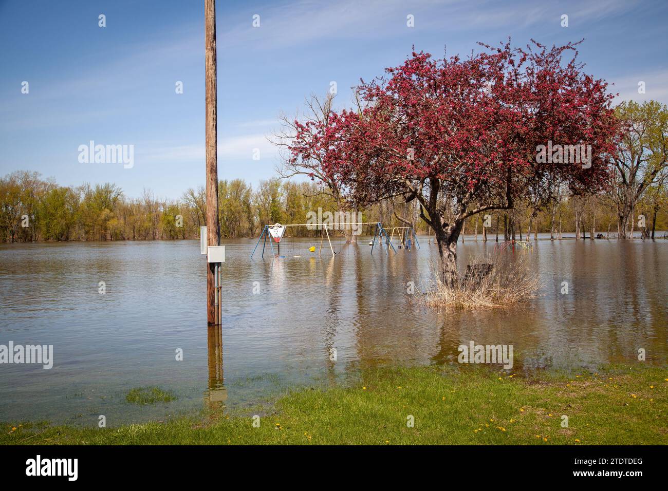 Flooding along the Mississippi River Stock Photo - Alamy