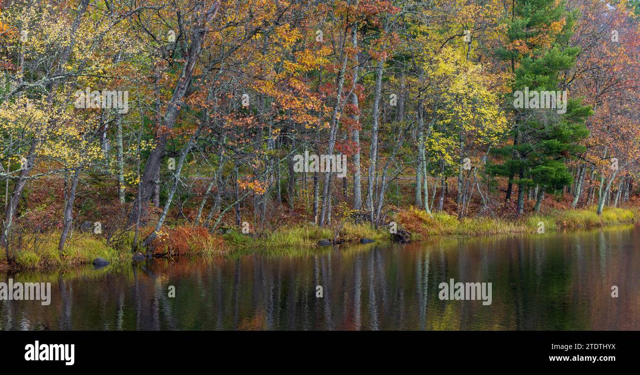 Fall colors on the Chippewa River in the Chequamegon National