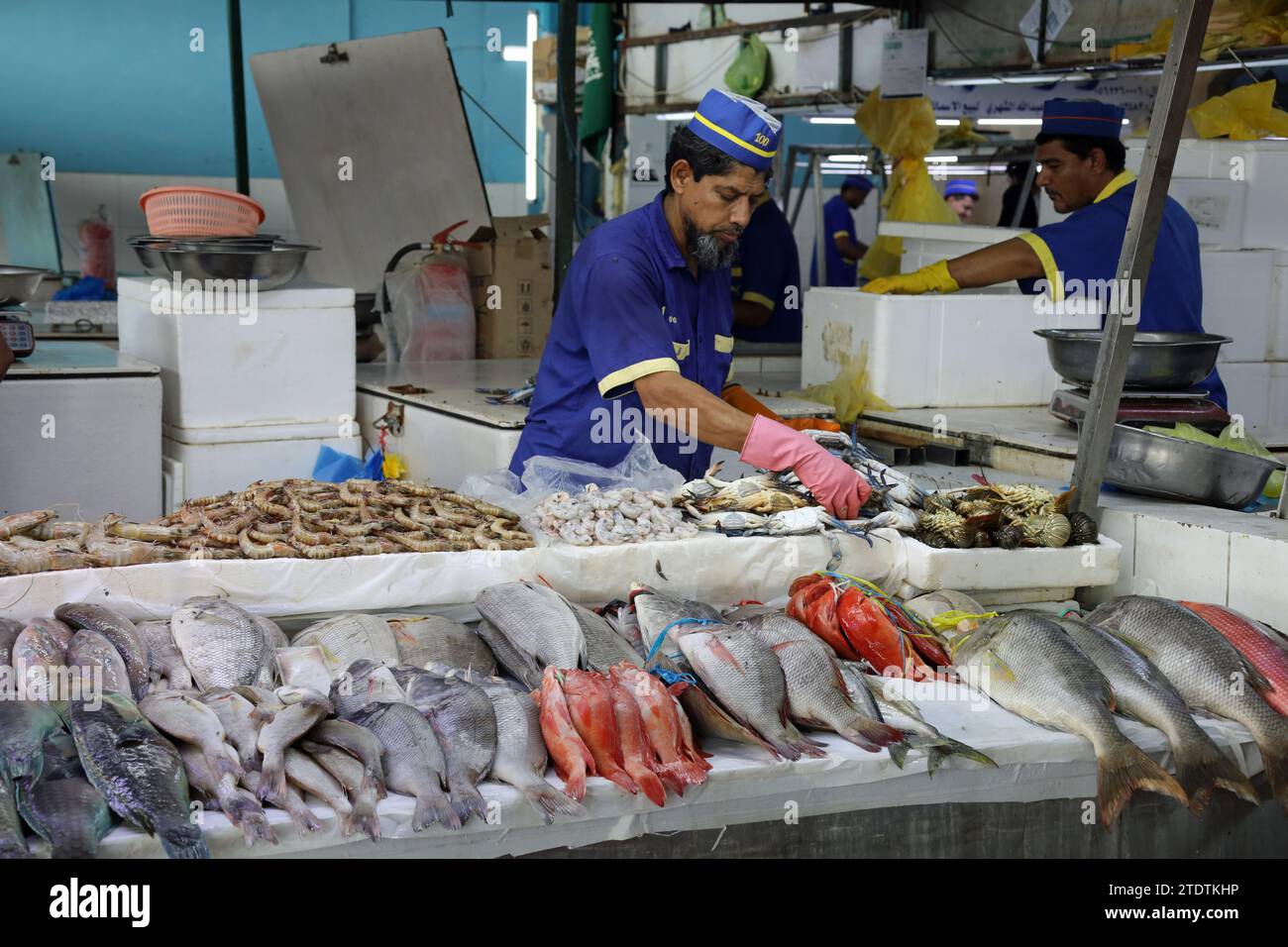 Small fish in fish market hi-res stock photography and images - Page 16 -  Alamy