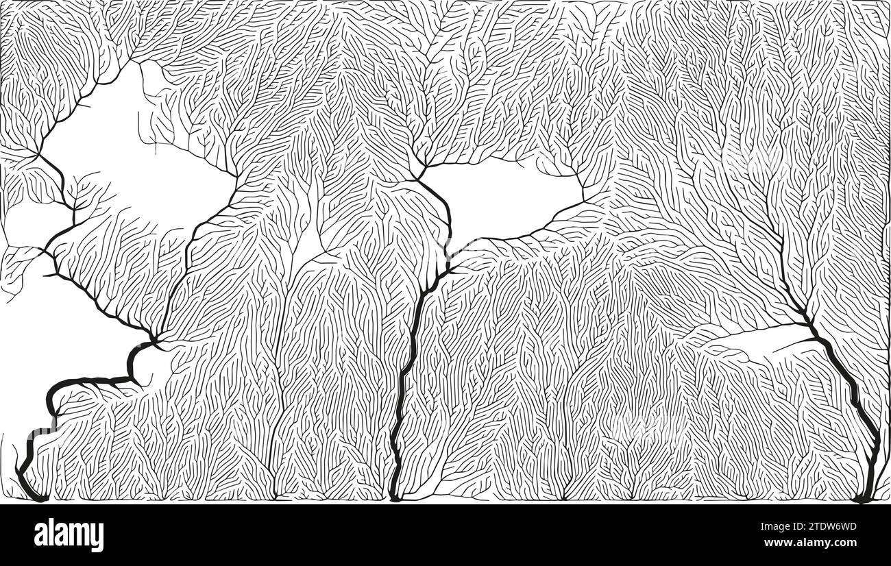 Branching growth pattern Stock Vector Images - Alamy