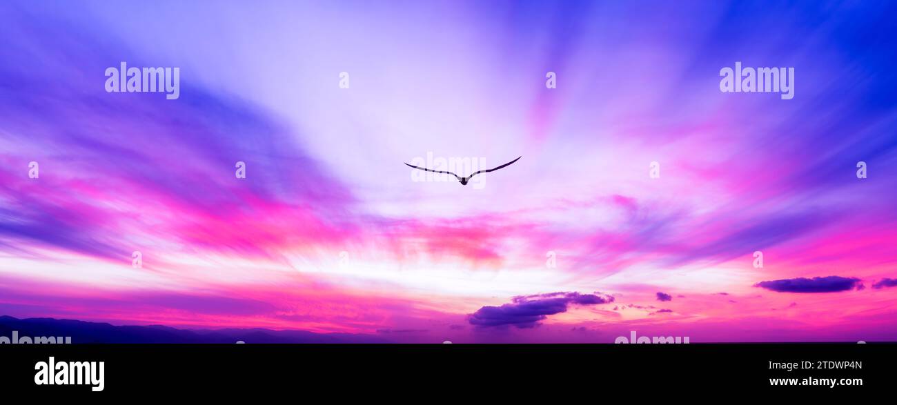 A Bird Silhouette Is Soaring Above The Colorful Clouds At Sunset Stock Photo