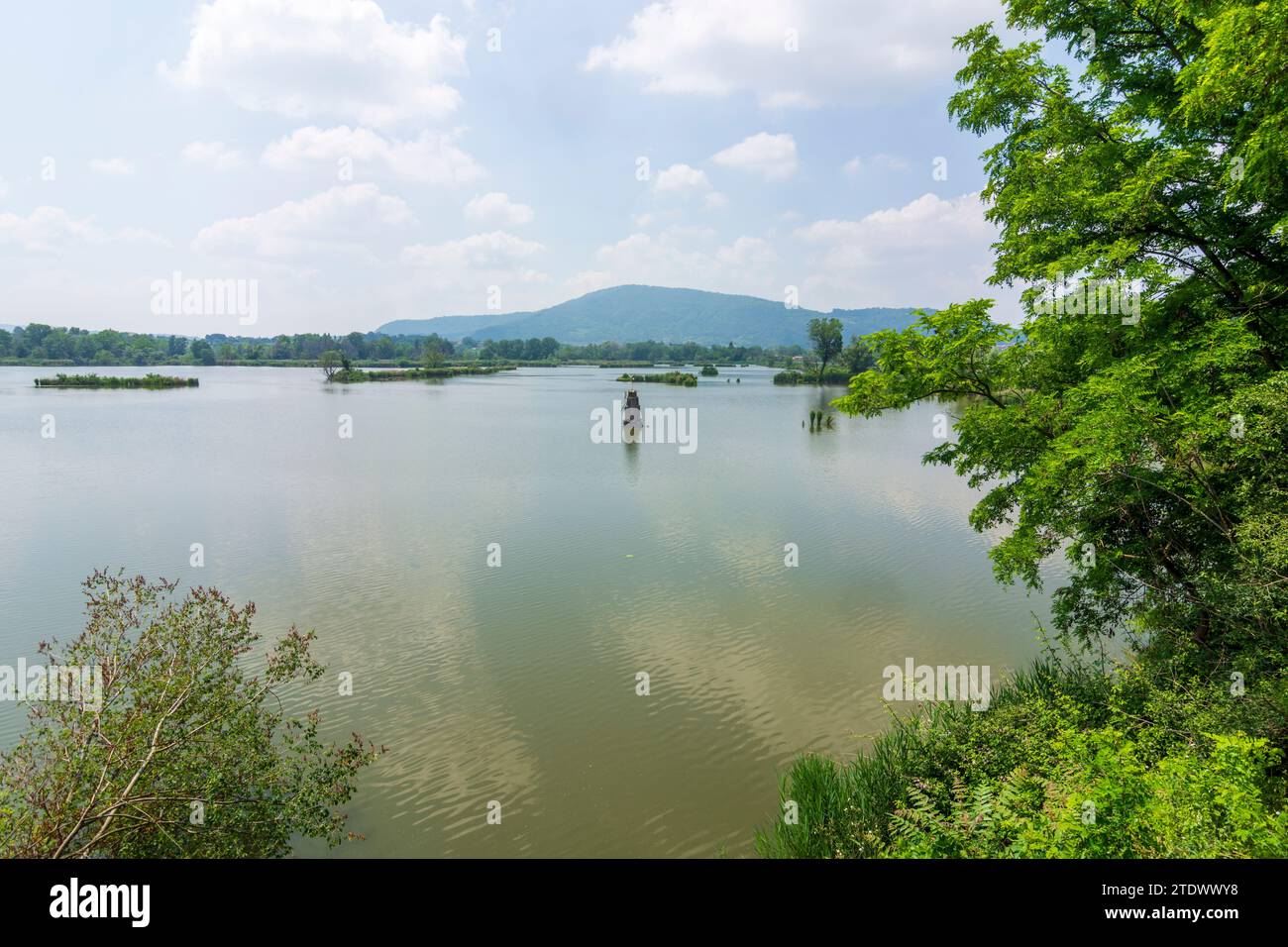 Provaglio d’Iseo: pond in Riserva naturale Torbiere del Sebino in Brescia, Lombardia, Lombardy, Italy Stock Photo