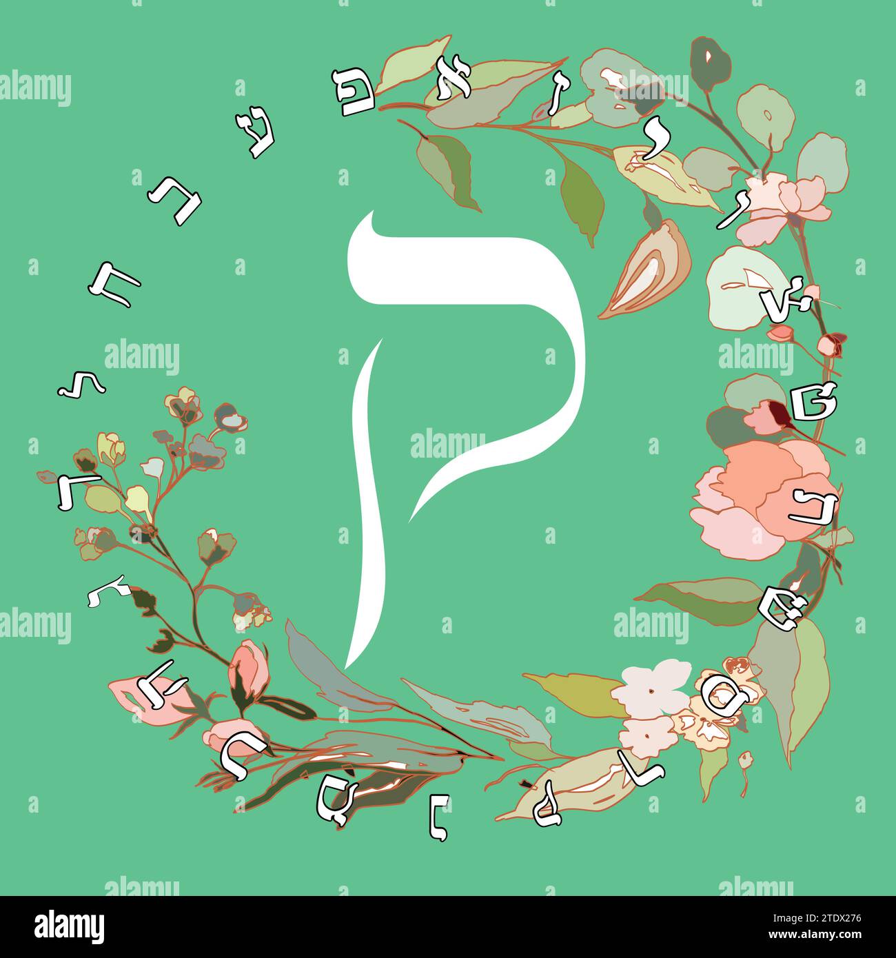 Vector illustration of the Hebrew alphabet with floral design. Hebrew letter called Qoph white on green background. Stock Vector