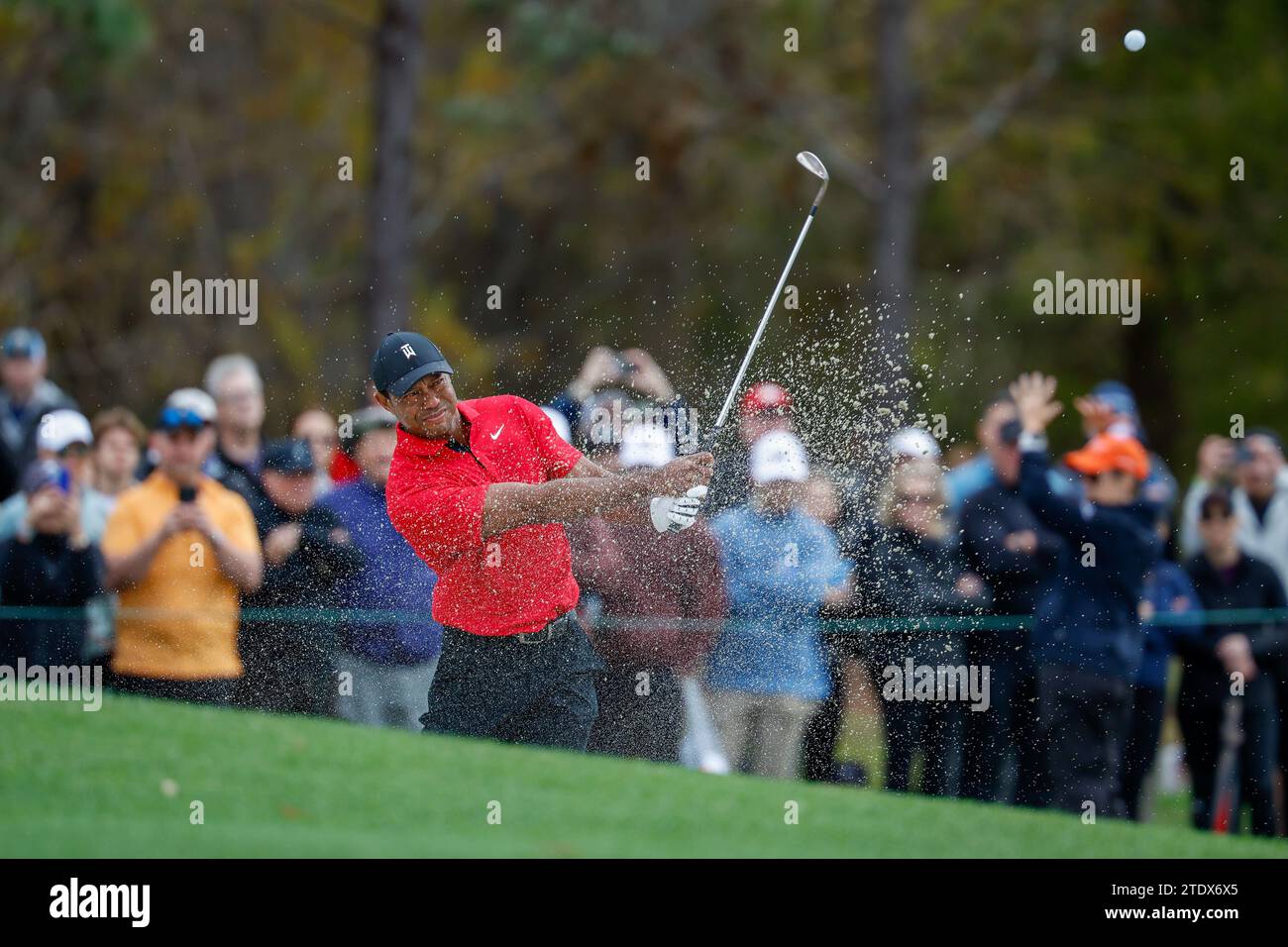 Orlando, Florida, USA. 17th Dec, 2023. Tiger Woods hitting out of the