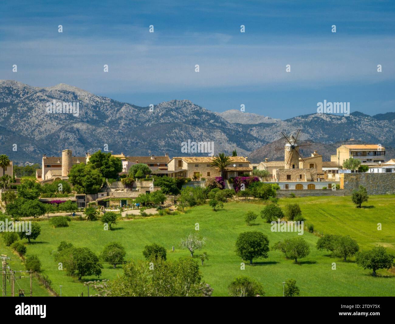 Aerial view of the town of Sineu and fields and rural surroundings in spring. In the background, the Serra de Tramuntanta mountain range (Mallorca) Stock Photo