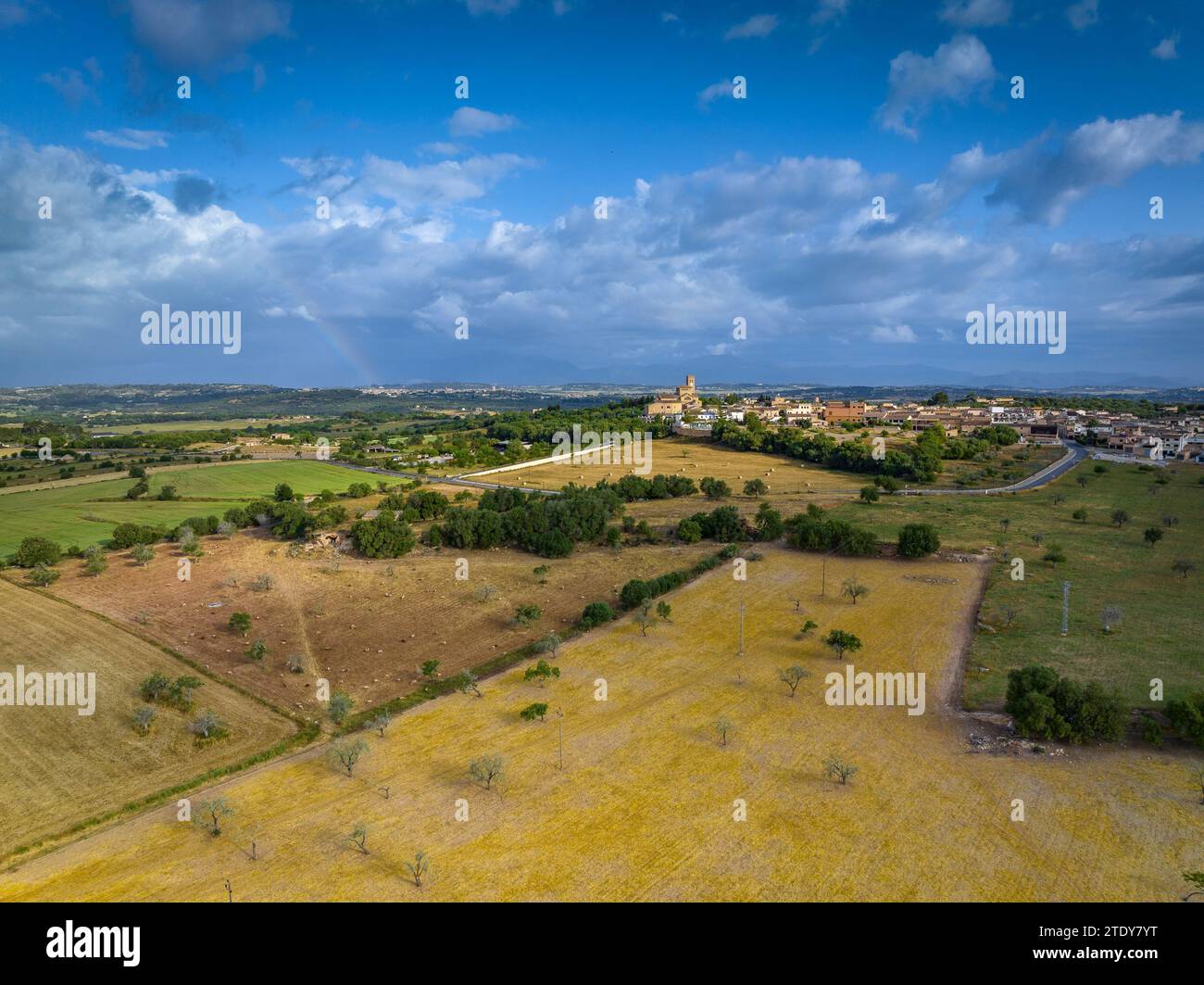 Aerial view of the village of Ariany, fields and rural surroundings and ...