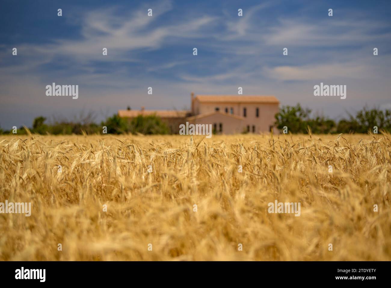 Cielo nubes y edificio hi-res stock photography and images - Alamy