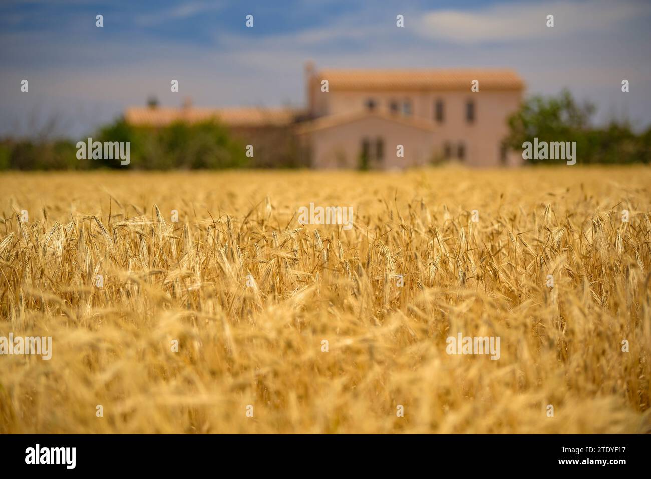 Edifici campos hi-res stock photography and images - Alamy