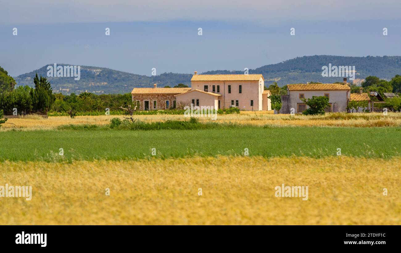 Cultivos de campo hi-res stock photography and images - Alamy
