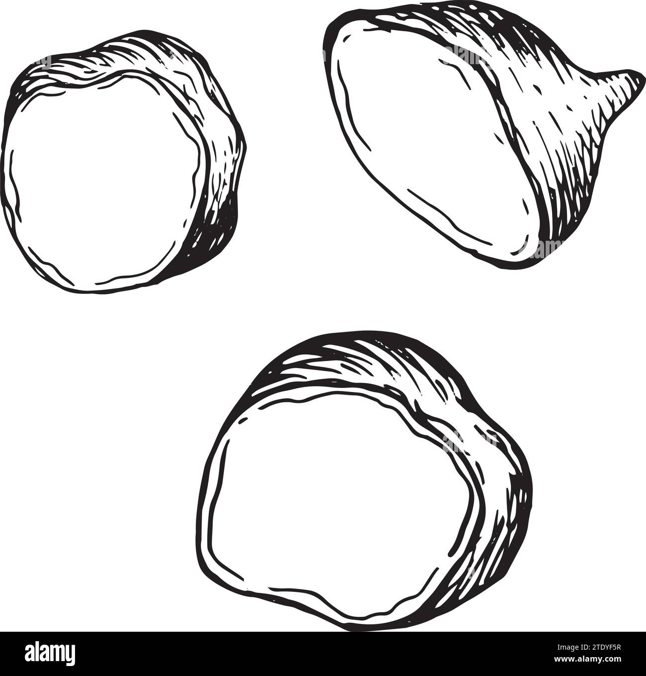 Part of sweet potatoes vector illustration isolated on white. Piece of