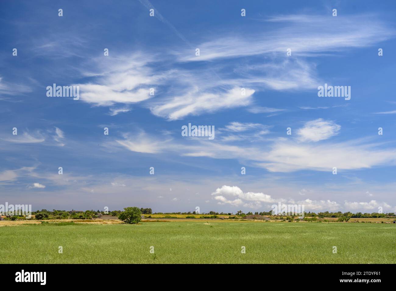 Cultivos de cultivos hi-res stock photography and images - Alamy