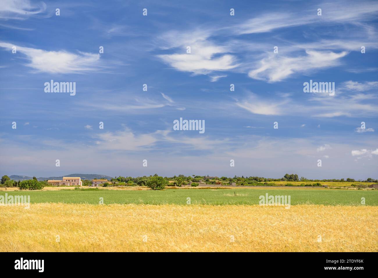 Cultivos de campo hi-res stock photography and images - Alamy