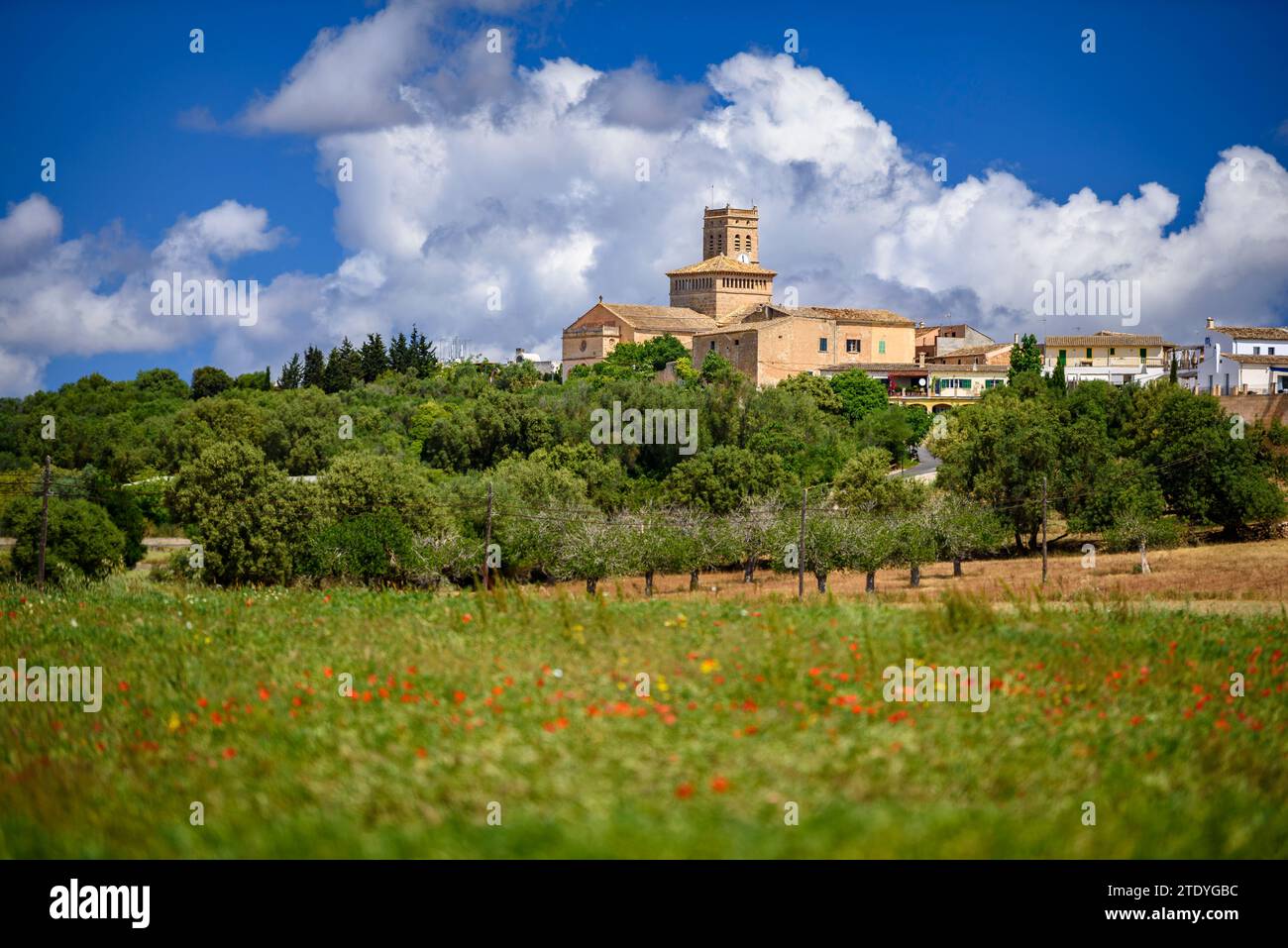 Church of the Mare de Déu d'Atotxa of Ariany, on a spring morning among flowery fields (Mallorca, Balearic Islands, Spain) Stock Photo