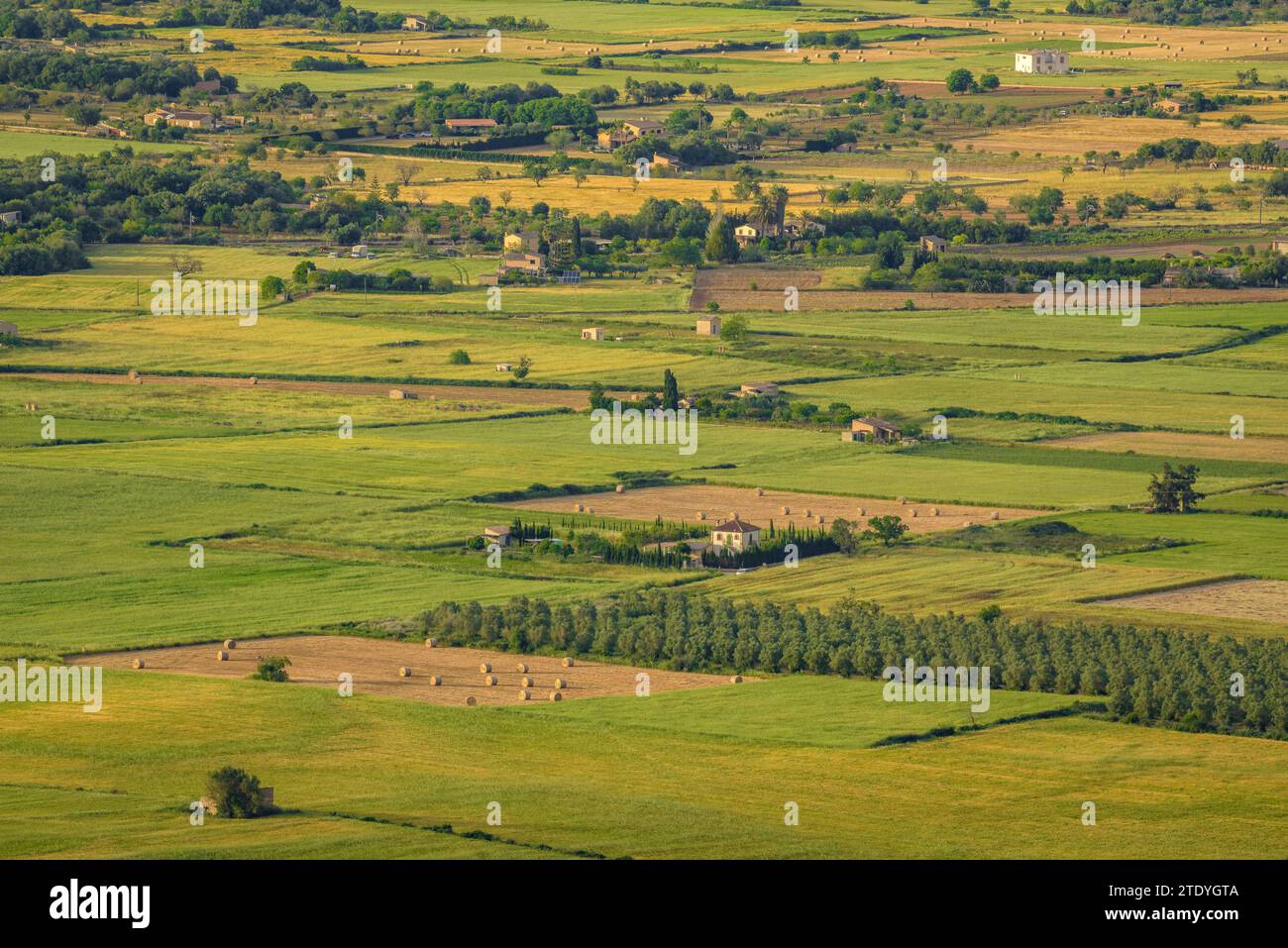 Belvedere in primavera hi-res stock photography and images - Alamy