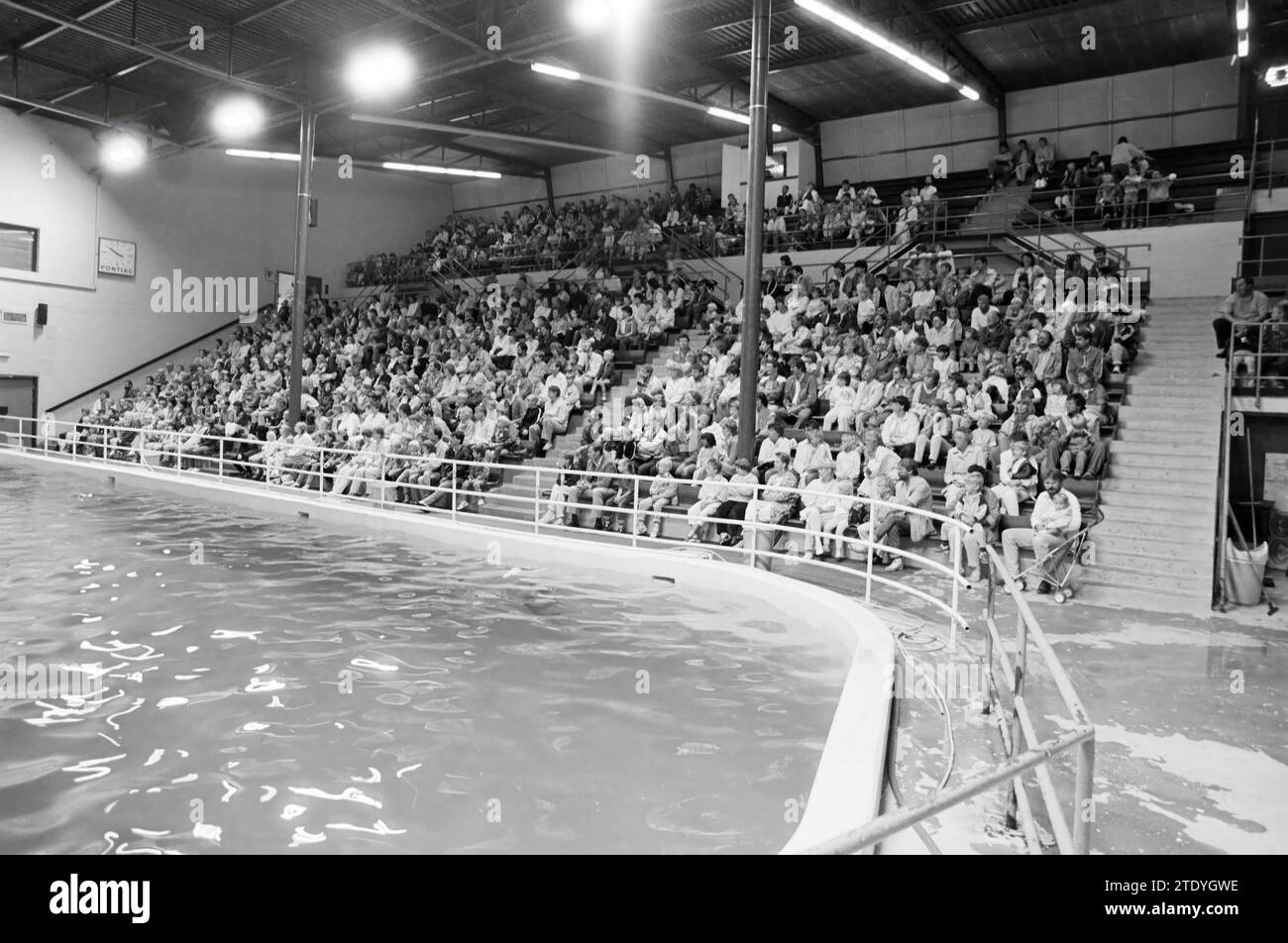 Zandvoort, audience and son of Slotemaker on dolphin, Dolfinarium, 31-07-1985, Whizgle News from the Past, Tailored for the Future. Explore historical narratives, Dutch The Netherlands agency image with a modern perspective, bridging the gap between yesterday's events and tomorrow's insights. A timeless journey shaping the stories that shape our future. Stock Photo