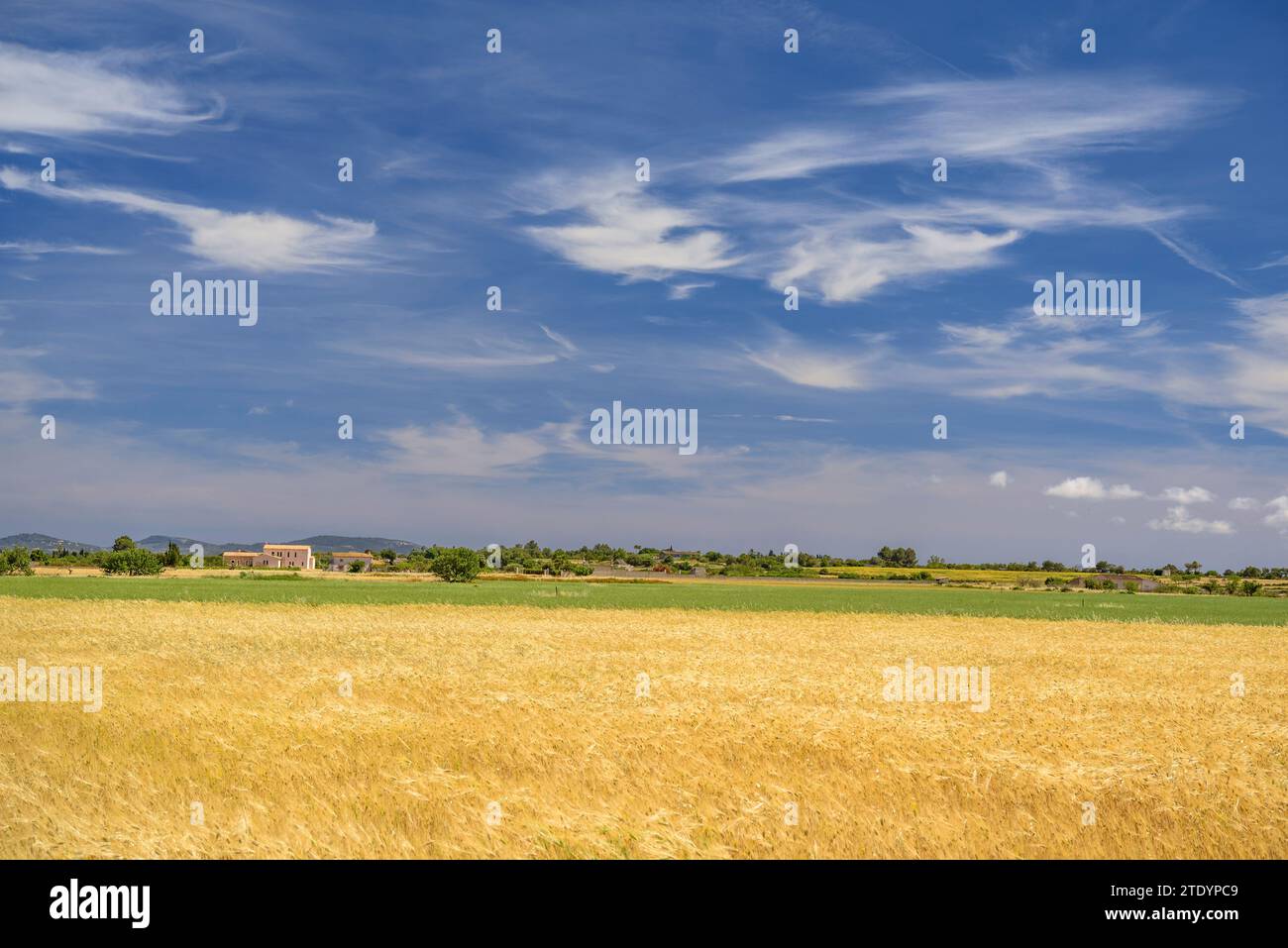 Campos y cielo con nubes hi-res stock photography and images - Alamy