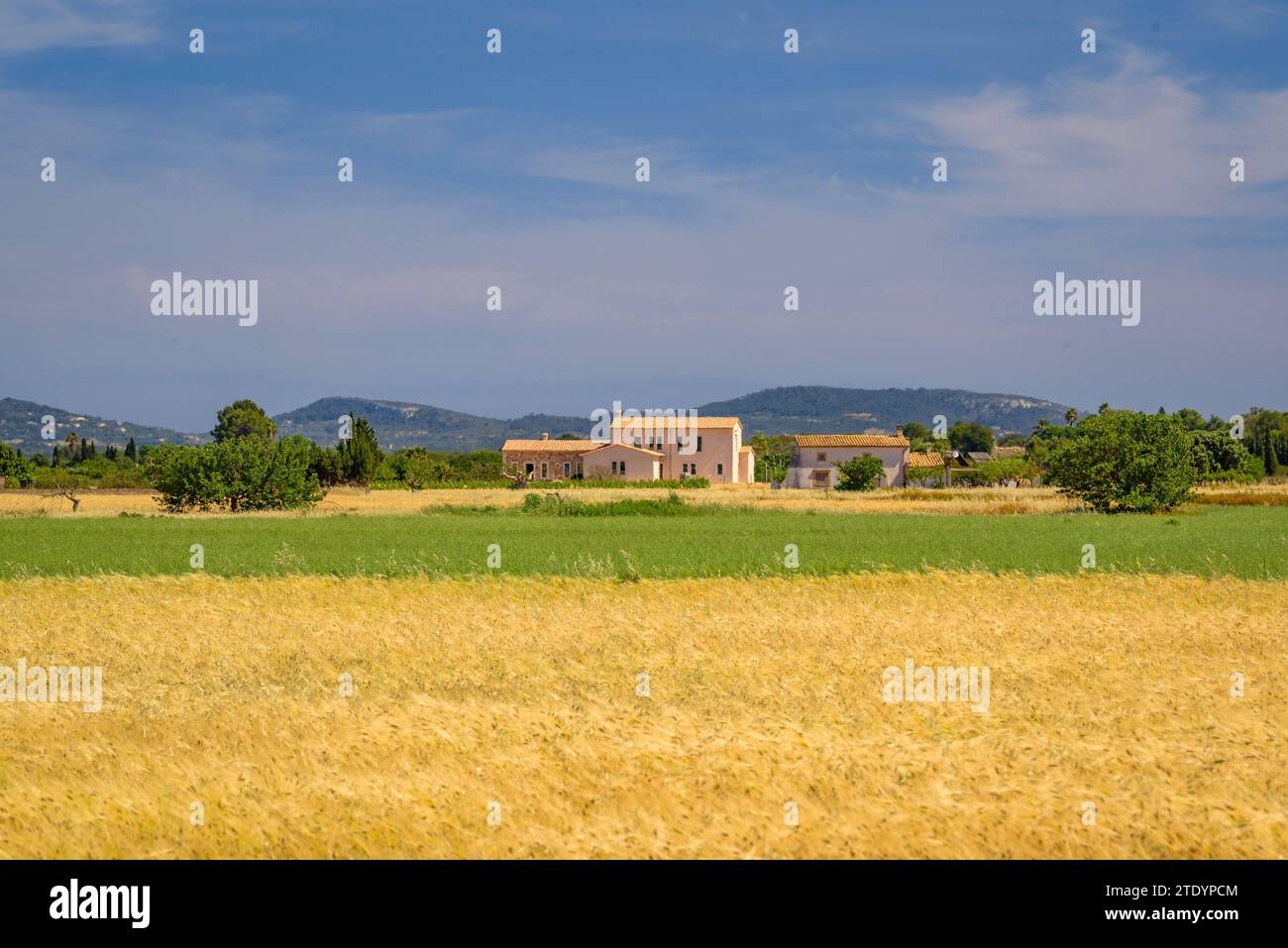 Cultivos de campo hi-res stock photography and images - Alamy