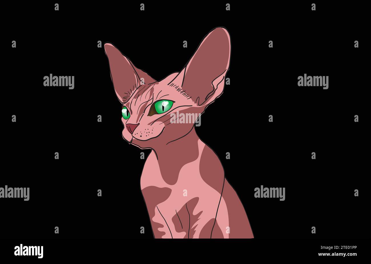 sphinx cat illustration Stock Vector