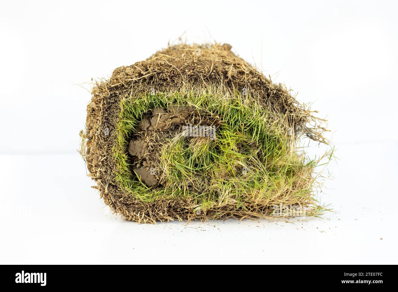 Strip of grass piece rolled up with roots and dirt isolated on white