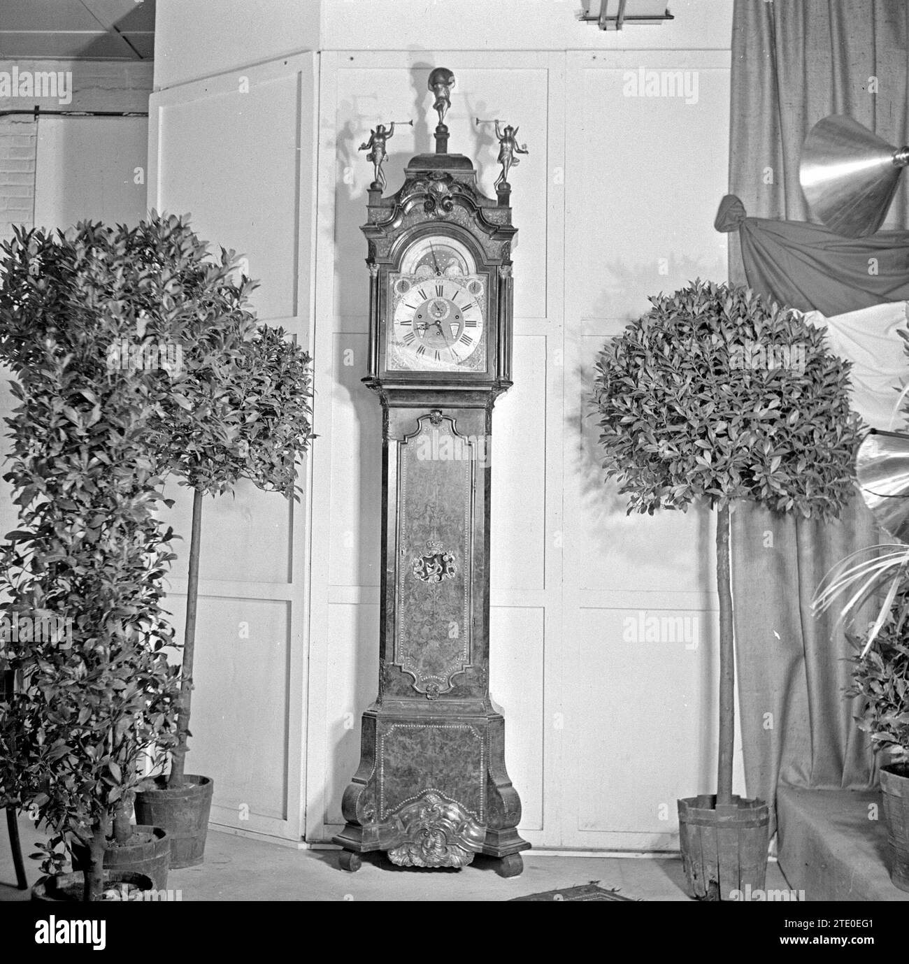 Longcase clock amid ornamental trees (presumably gifts at reception) ca. January 1, 1950 Stock Photo