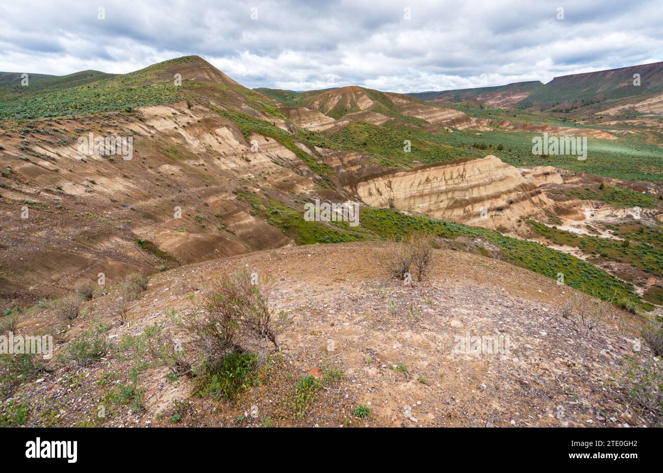 View from Mascall Overlook in John Day Fossil Beds National Monument, Oregon Stock Photo