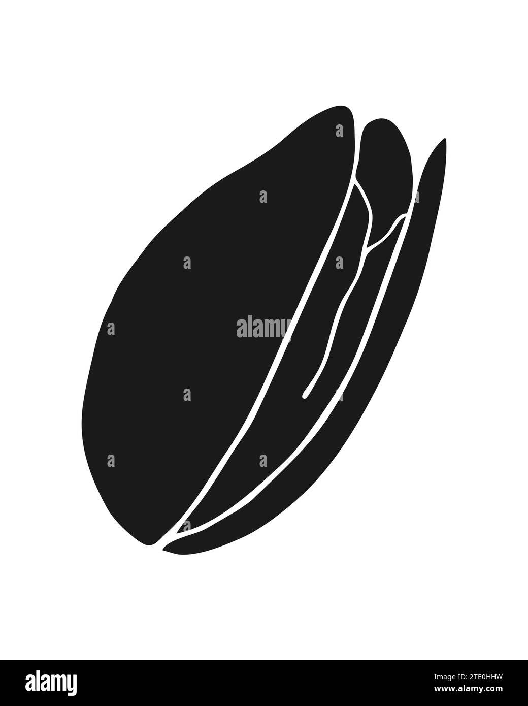 Pistachio one silhouette sketch hand drawn, isolated on white