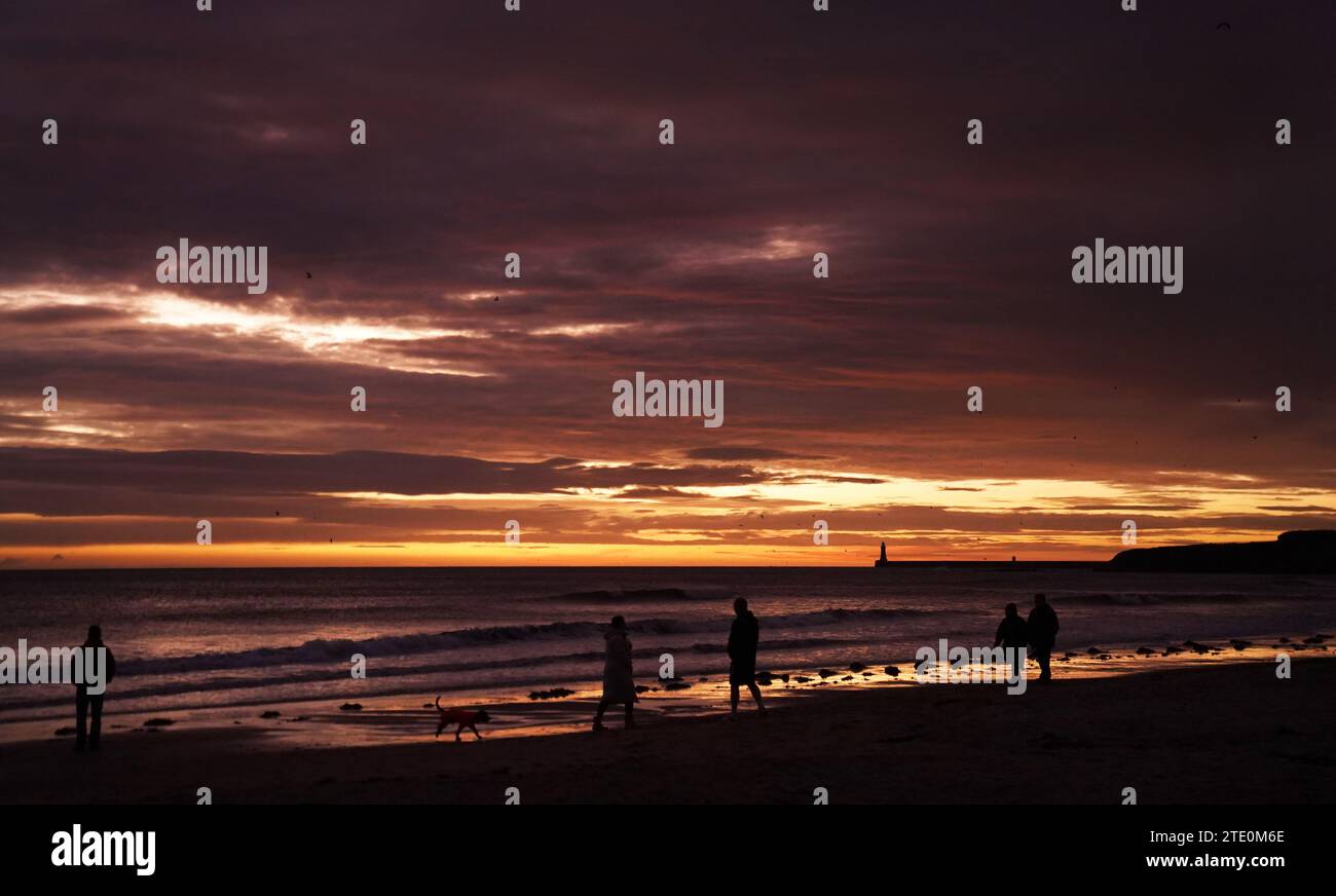 People walking their dogs on Tynemouth beach, Tyne and Wear, on the