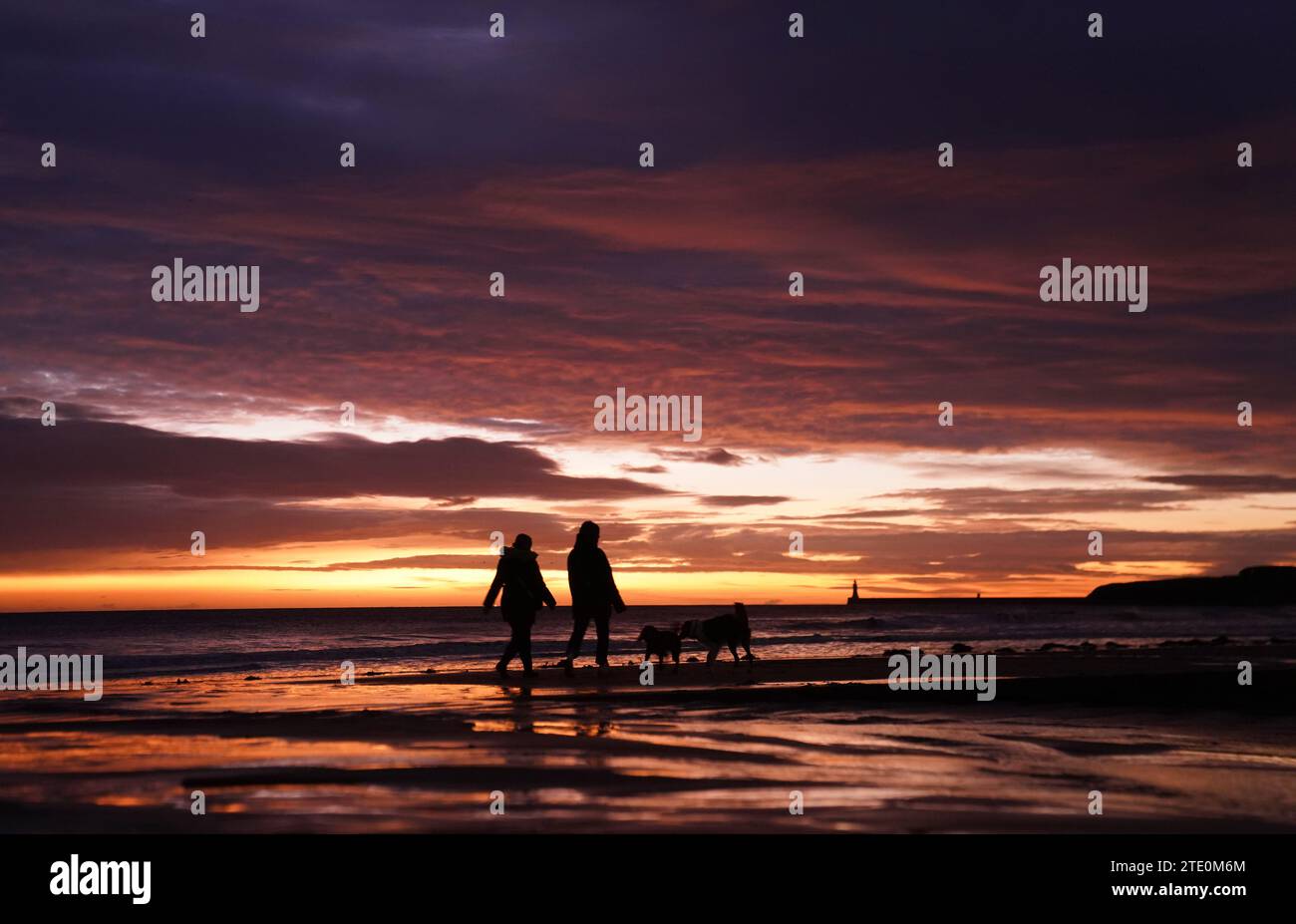 People walking their dogs on Tynemouth beach, Tyne and Wear, on the