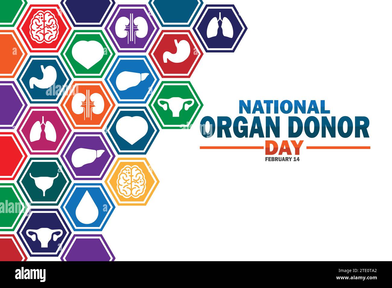 National Organ Donor Day Vector illustration. February 14. Suitable for greeting card, poster and banner. Stock Vector