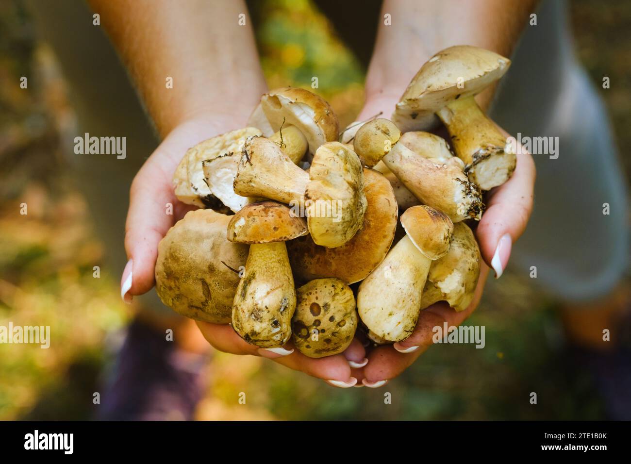 Giant fake mushrooms hi-res stock photography and images - Alamy