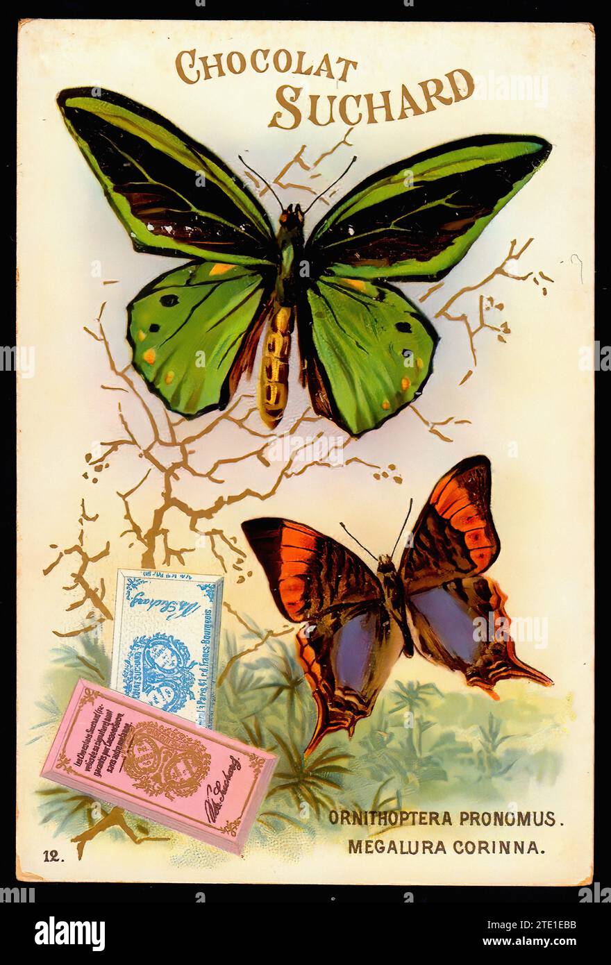 Vintage butterfly hi-res stock photography and images - Page 6 - Alamy