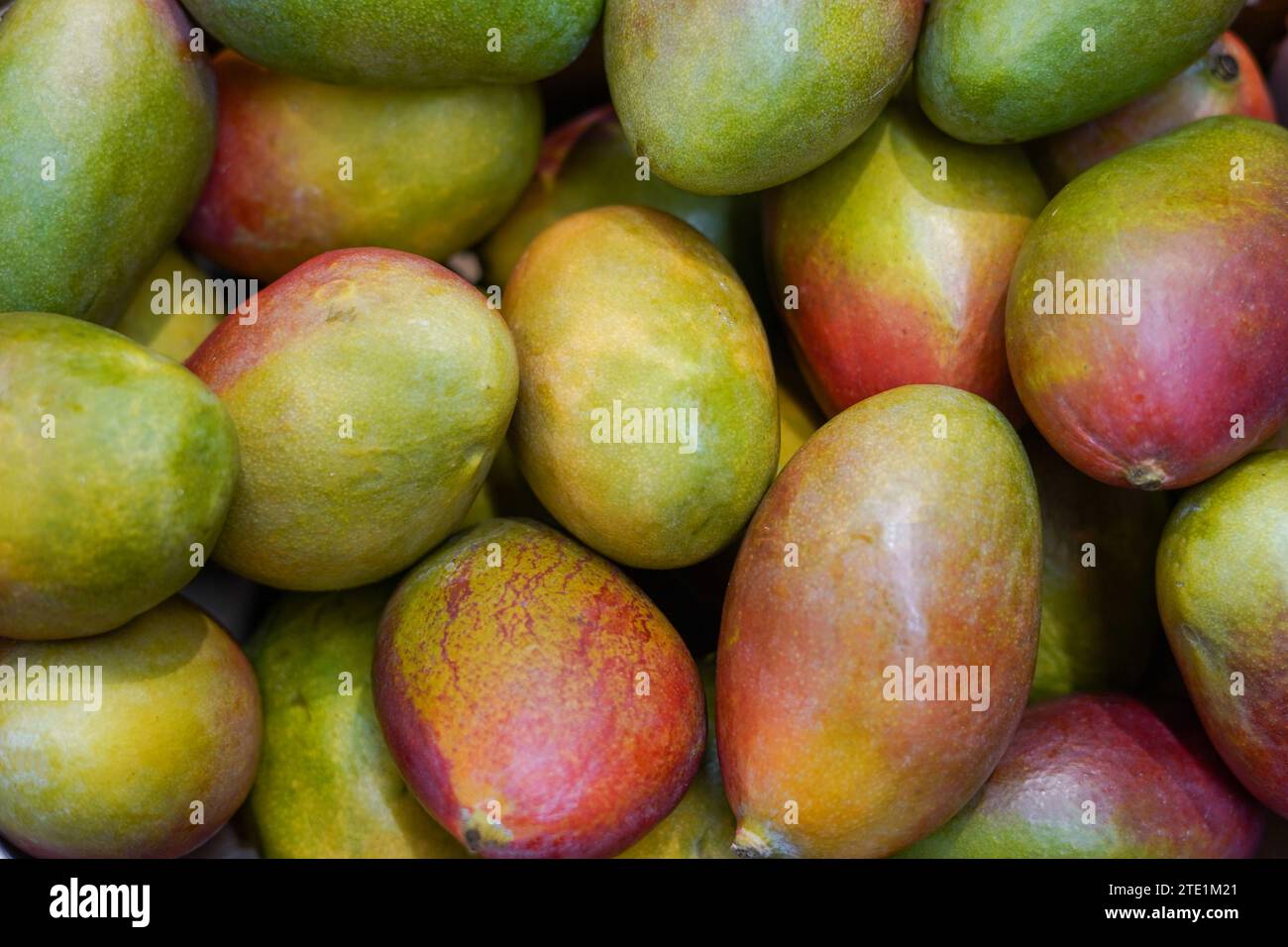 mangos background, fresh fruits mango in the grocery store Stock Photo