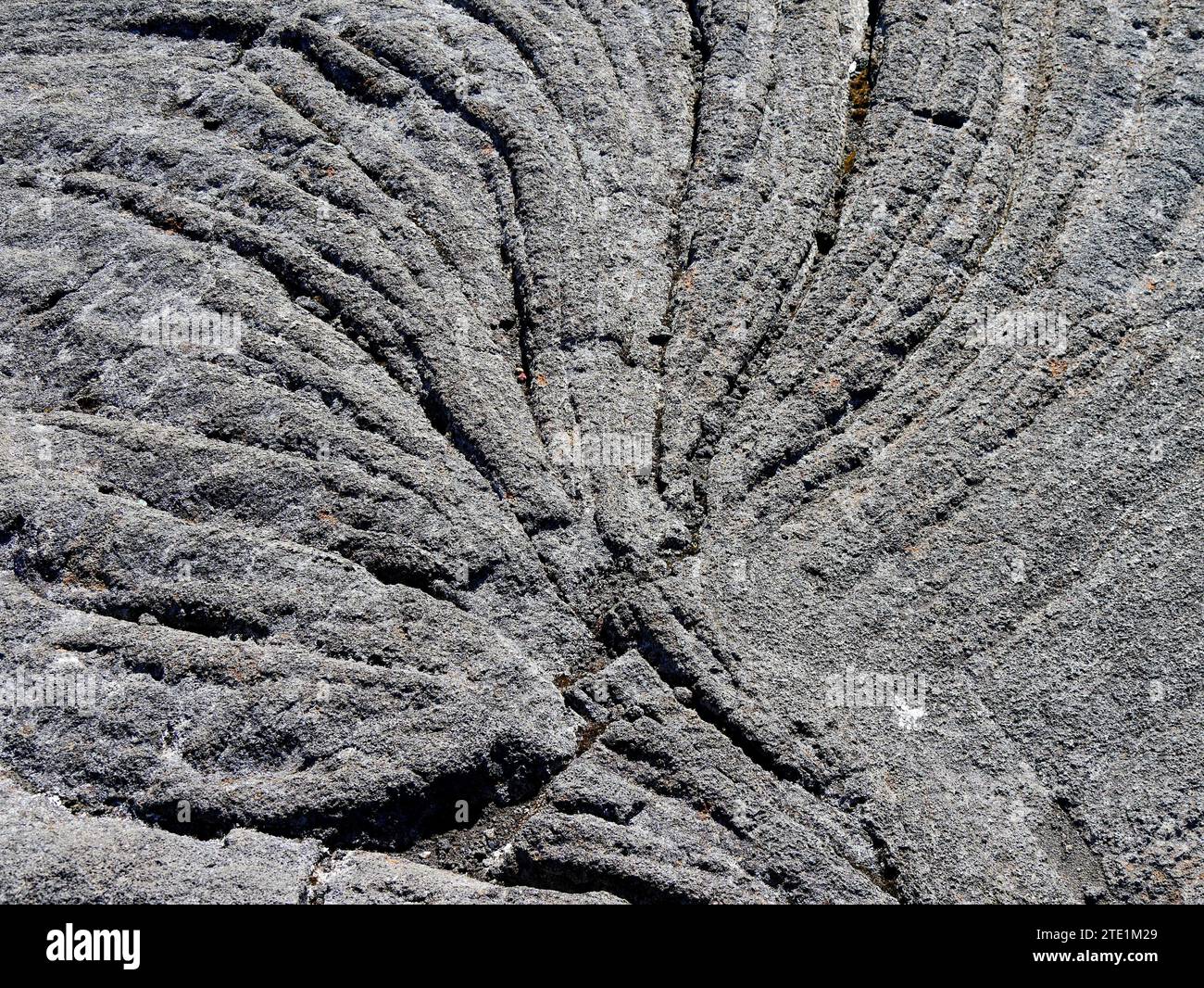 Stange shape of a tree in the solidified lava flow of piton de la Fournaise, Reunion, France Stock Photo