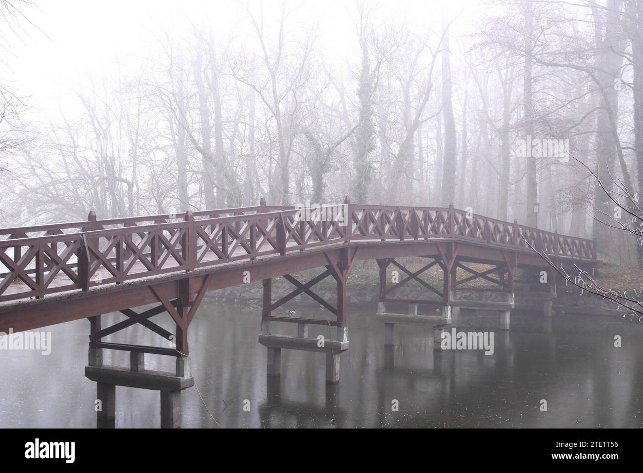 Footbridge to the island on the lake in the English garden of the Brunswick mansion, on a cold foggy day in winter, Martonvasar, Hungary Stock Photo