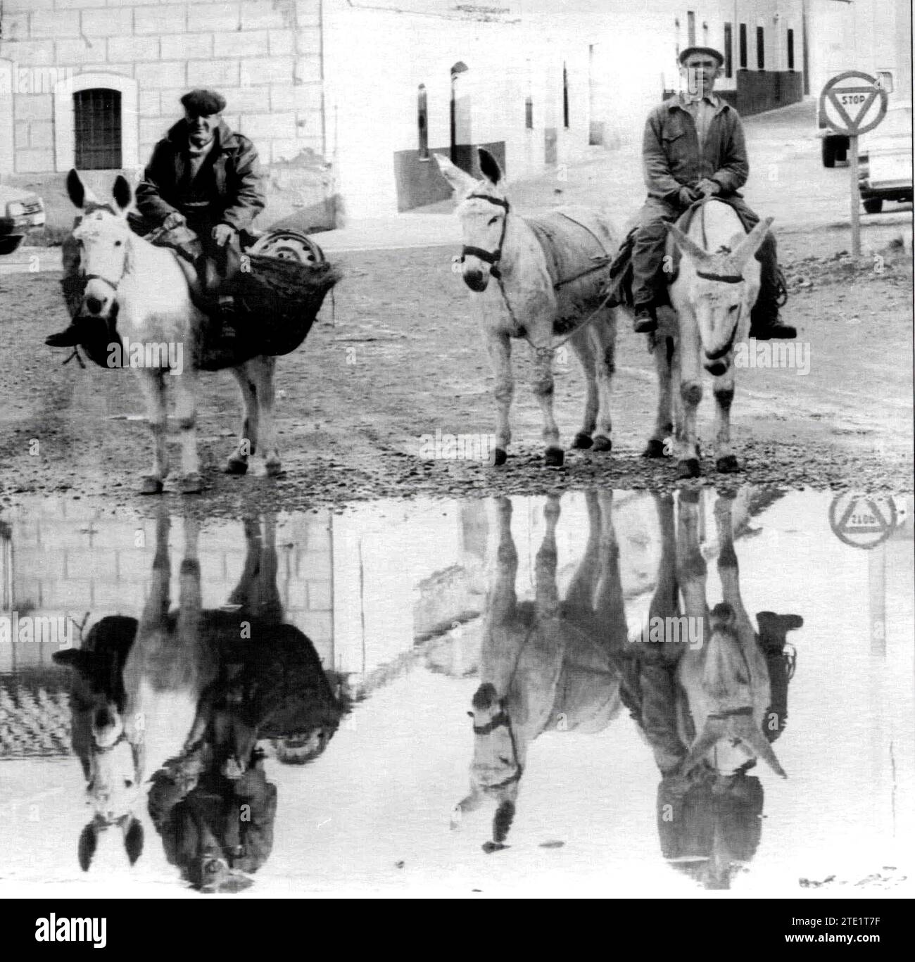05/01/1993. Two Men with their Donkeys in the town Belvís de la Jara (Toledo). Credit: Album / Archivo ABC / Carlos Moreno Stock Photo