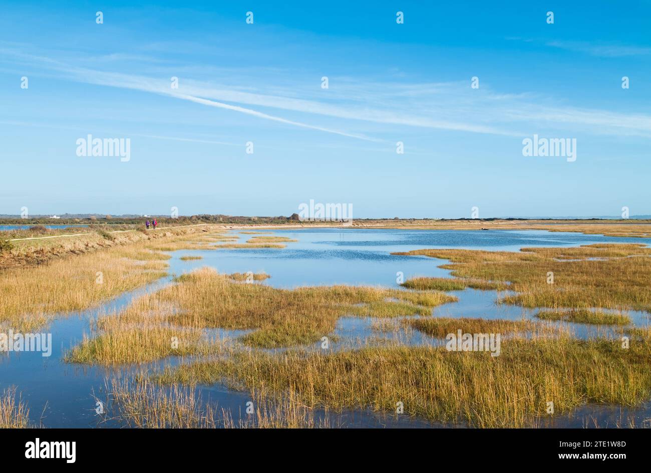 The Solent Way Coastal Path Through The Lagoons And Salt Marshes Of The Lymington And Keyhaven Marshes Nature Reserve UK Stock Photo