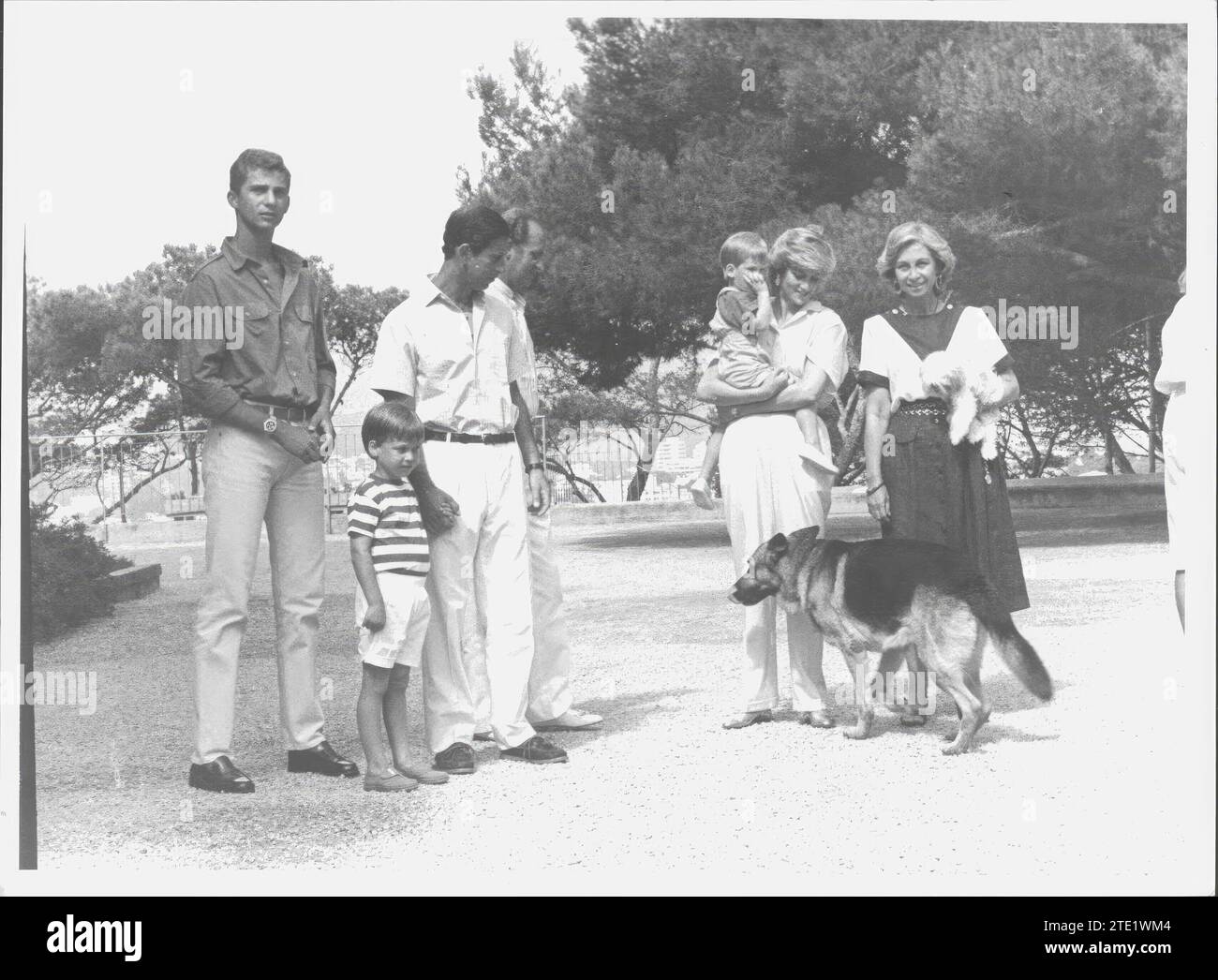 08/01/1987. The Spanish royal family with the Princes of Wales and their Children in the Gardens of the Marivent Palace. Credit: Album / Archivo ABC / Francisco Amengual Stock Photo