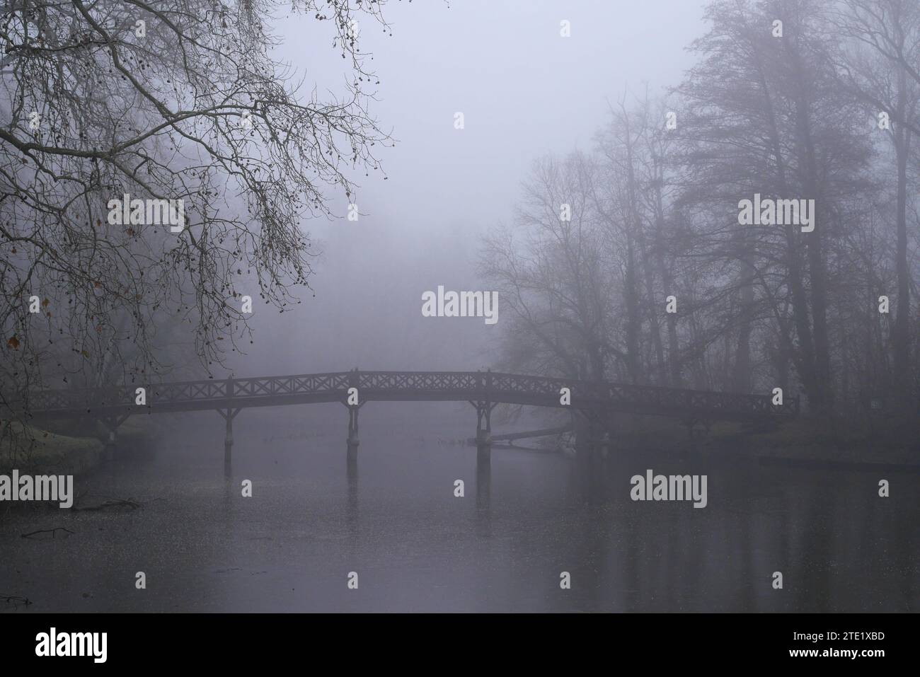 Footbridge to the island on the lake in the English garden of the Brunswick mansion, on a cold foggy day in winter, Martonvasar, Hungary Stock Photo
