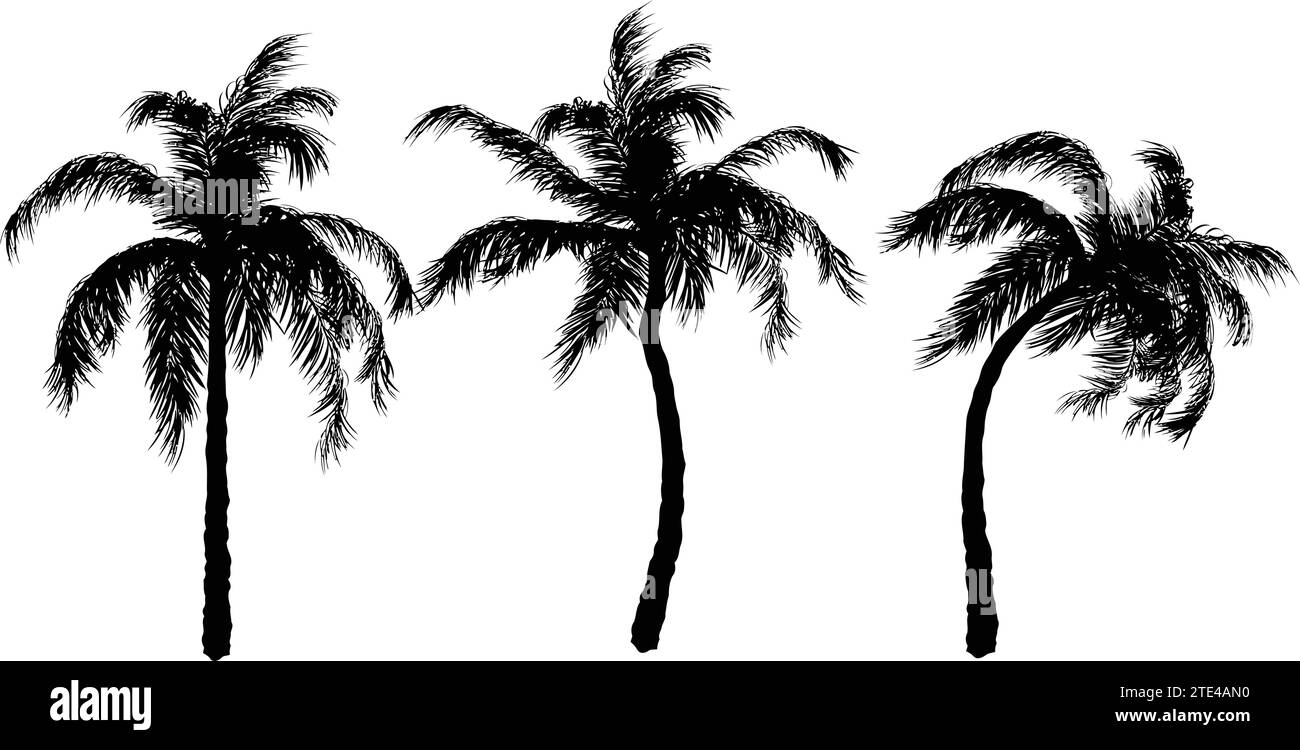 Palm tree silhouette Stock Vector