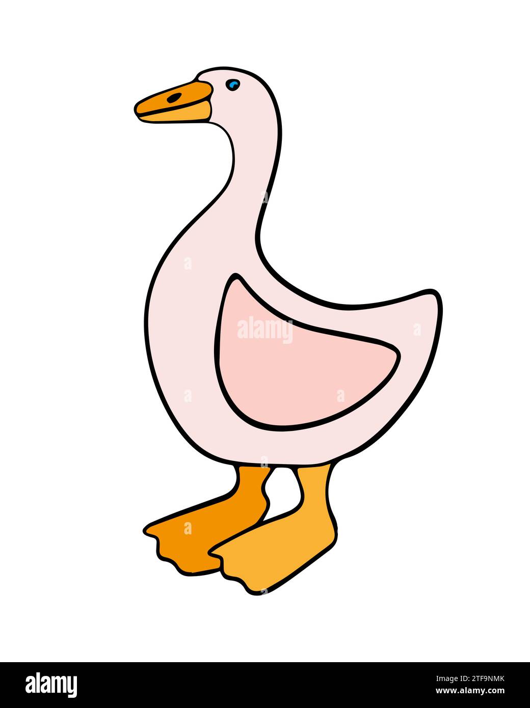 Vector isolated illustration of domestic fowl goose Stock Vector Image
