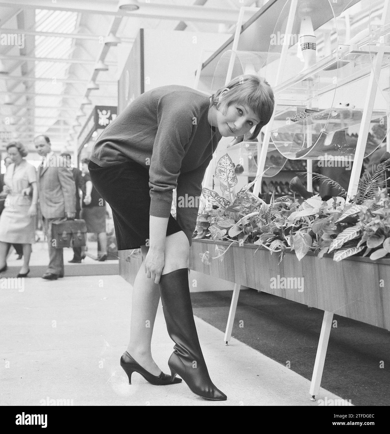1964 shoes hot sale