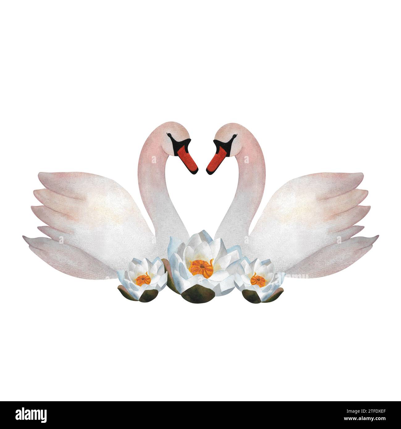 Two swans 2024 wedding farm