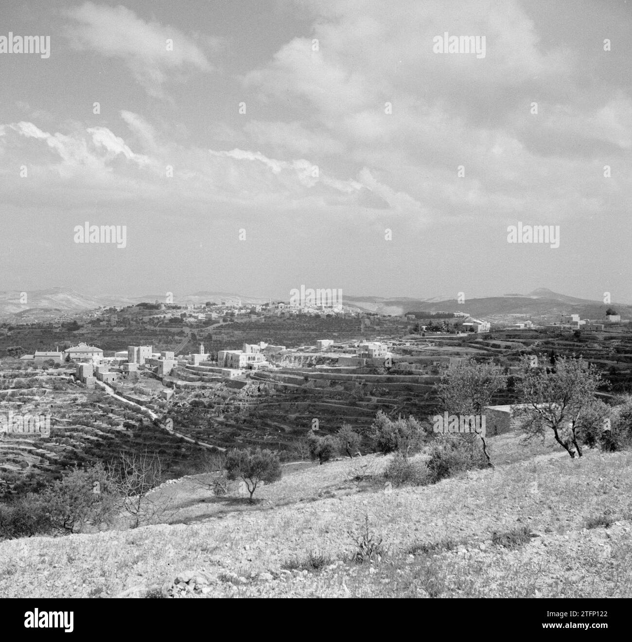 Landscape outside Bethlehem ca. 1950-1955 Stock Photo