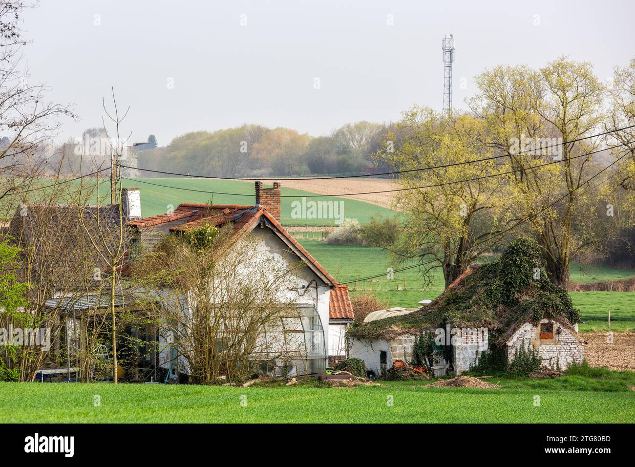 Small house in the hamlet of Tainnières in Ramillies, on a bright spring morning Stock Photo