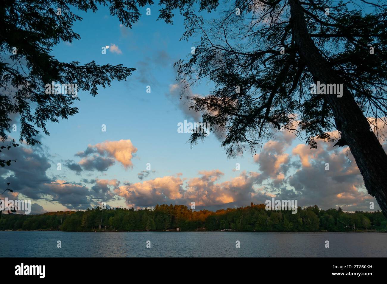 Sunrise and moonset over Cranberry Lake with Hemlock trees silhouetted along the shoreline of this lake which is located in in the Adirondack Mountain Stock Photo