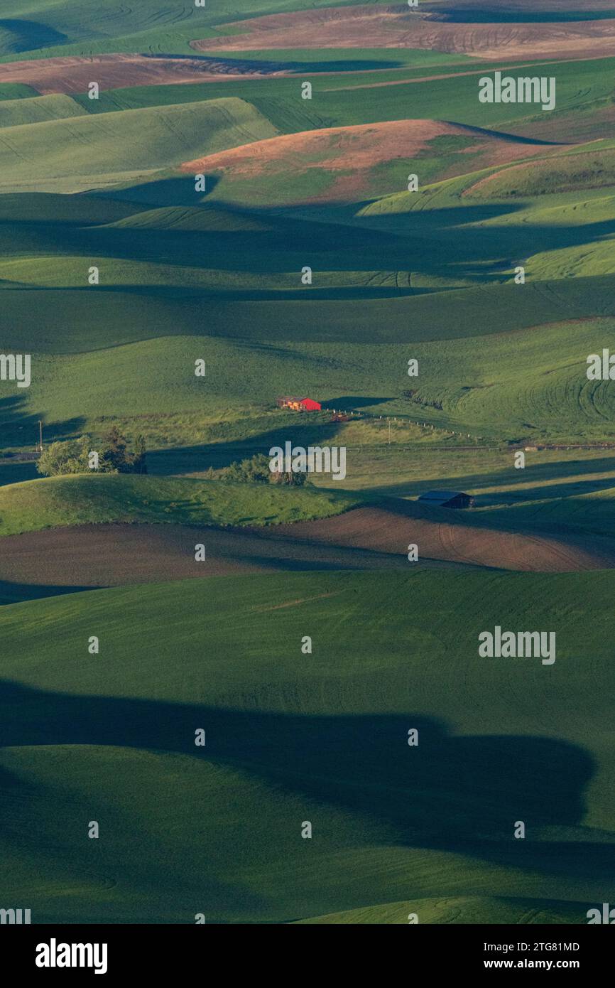 Red barn at dawn from Steptoe Butte, Palouse, Washington Stock Photo